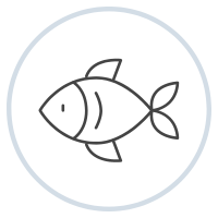 sustainable fish collagen